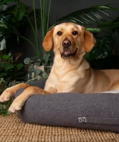 Scruffs Eco Eden hundeseng charcoal grey (Box Bed) (M) 90x70cm