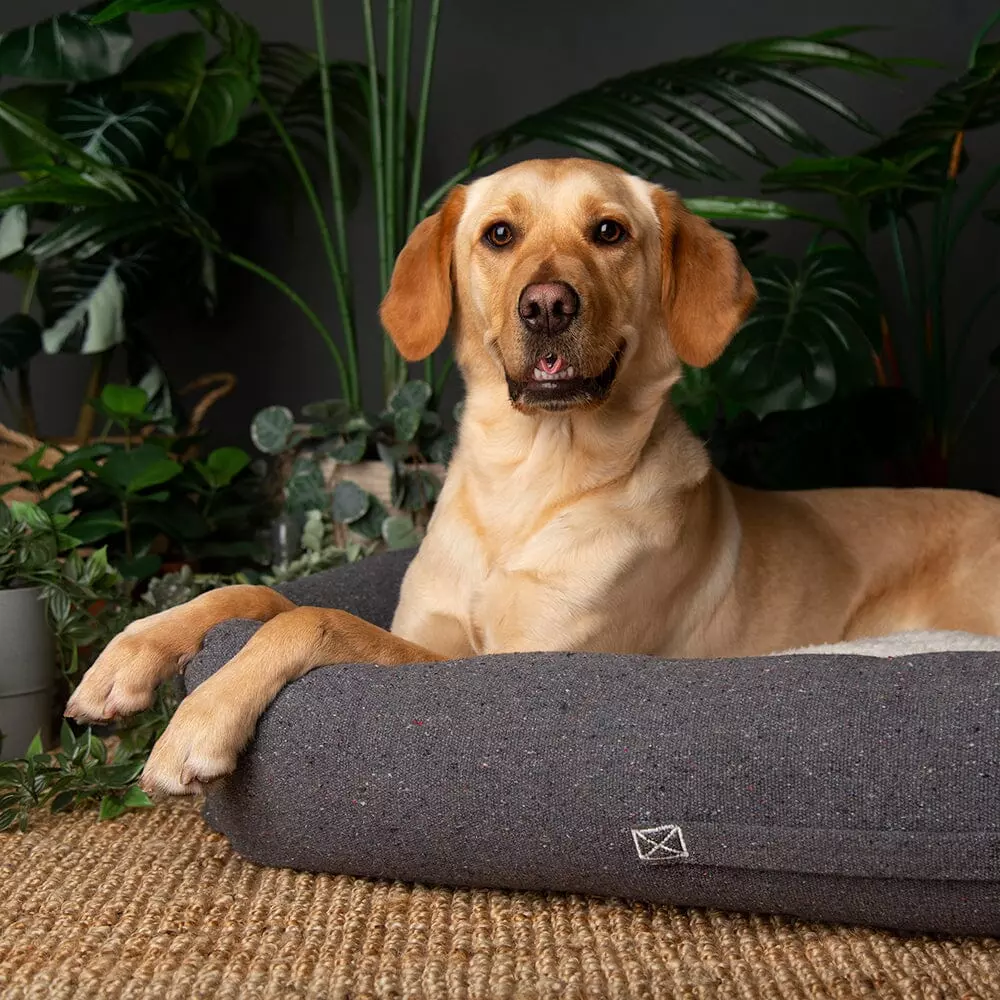 Scruffs Eco Eden hundeseng charcoal grey (Box Bed) (M) 90x70cm