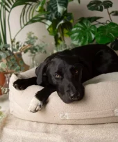 gallery-789-for-5060328828835