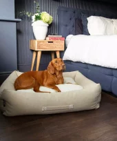 Scruffs Eco Eden hundeseng cream (Box Bed) (L) 75x60cm