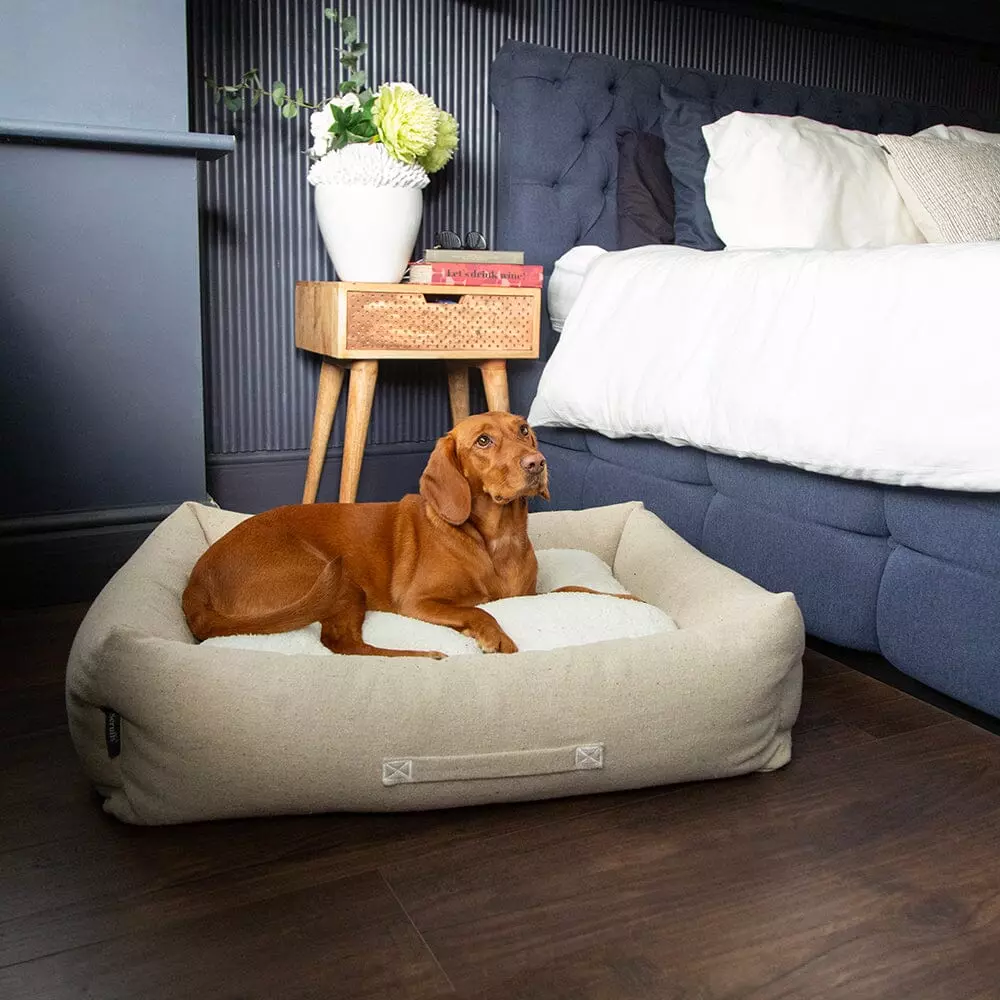 Scruffs Eco Eden hundeseng cream (Box Bed) (L) 75x60cm
