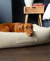 Scruffs Eco Eden hundeseng cream (Box Bed) (XL) 90x70cm