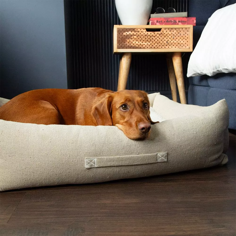 Scruffs Eco Eden hundeseng cream (Box Bed) (XL) 90x70cm