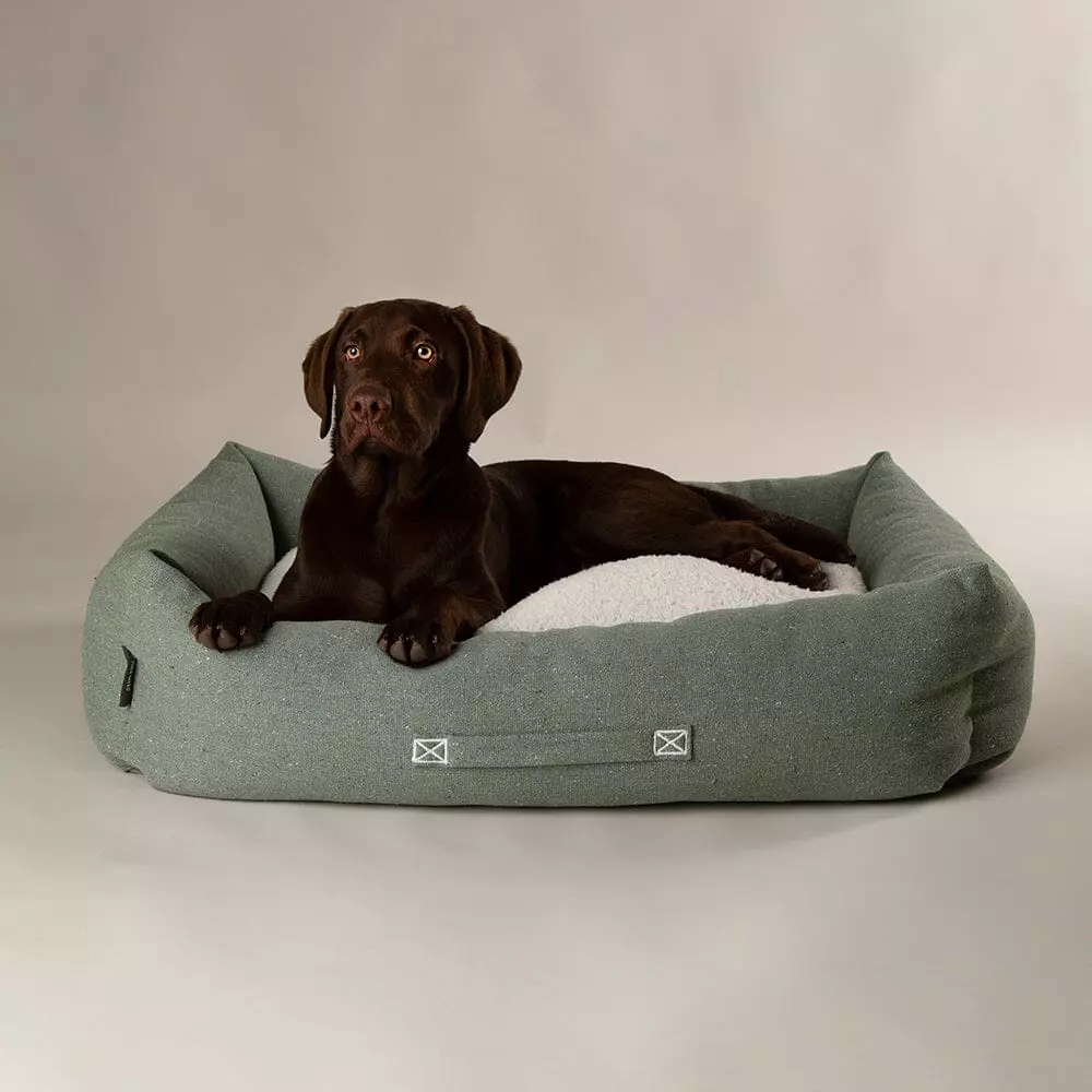 Scruffs Eco Eden hundeseng green (Box Bed) (M) 60x50cm