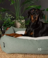 gallery-797-for-5060328829511