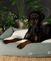 Scruffs Eco Eden hundeseng green (Box Bed) (XL) 90x70cm