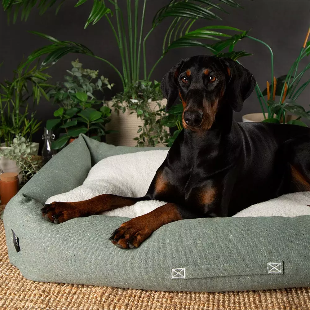 Scruffs Eco Eden hundeseng green (Box Bed) (XL) 90x70cm