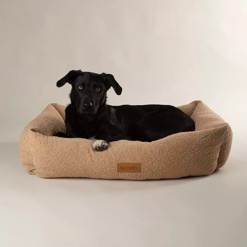 Scruffs Boucle hundeseng Desert Tan (Box Bed) (M) 60x50cm