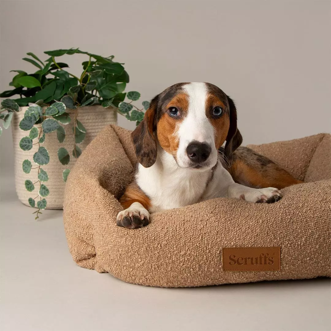 Scruffs Boucle hundeseng Desert Tan (Box Bed) (XL) 90x70cm