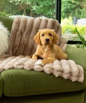 gallery-744-for-5060328829870