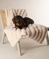 gallery-747-for-5060328829856