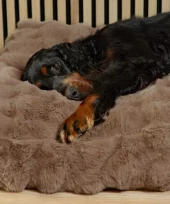 Scruffs Alpine madrass til hund 100x70cm