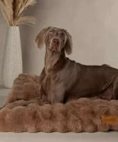 Scruffs Alpine madrass til hund 80x60cm