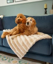 gallery-749-for-5060328829856