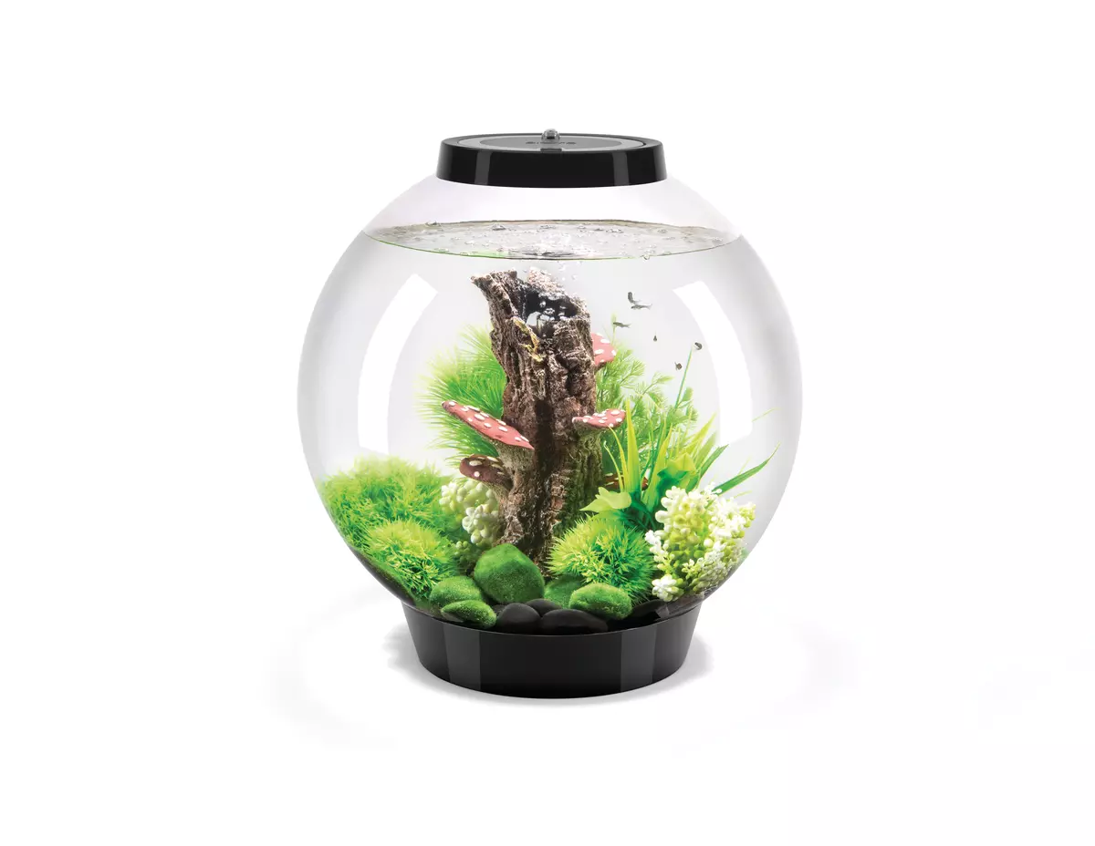 biOrb CLASSIC 30 LED black