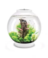 biOrb CLASSIC 30 LED white