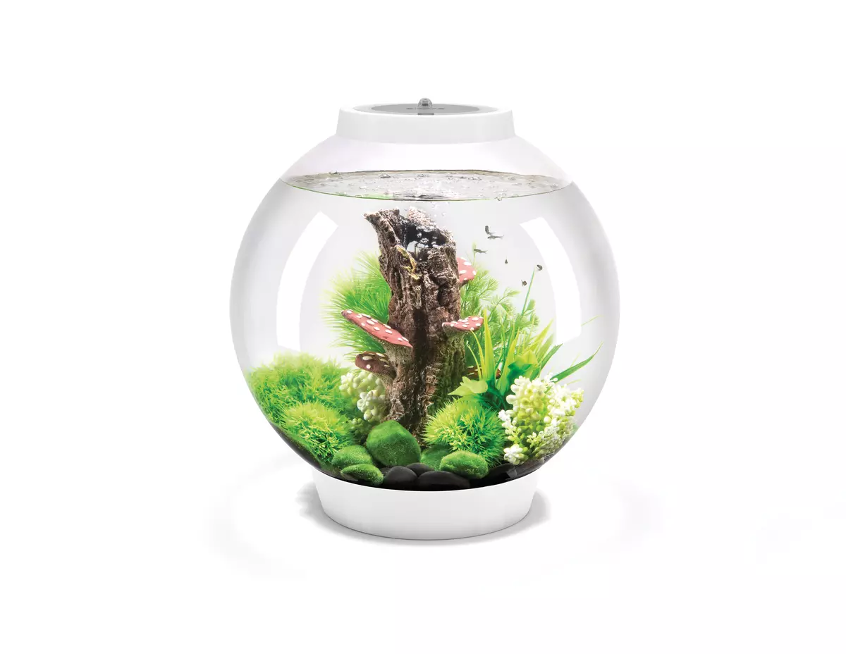 biOrb CLASSIC 30 LED white