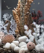 gallery-839-for-822728002780