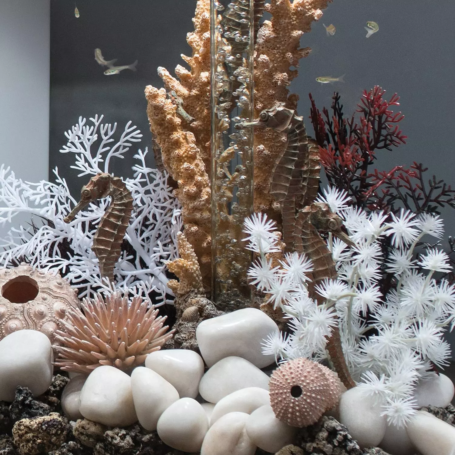 gallery-839-for-822728002780