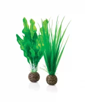 biOrb Easy plant set S green