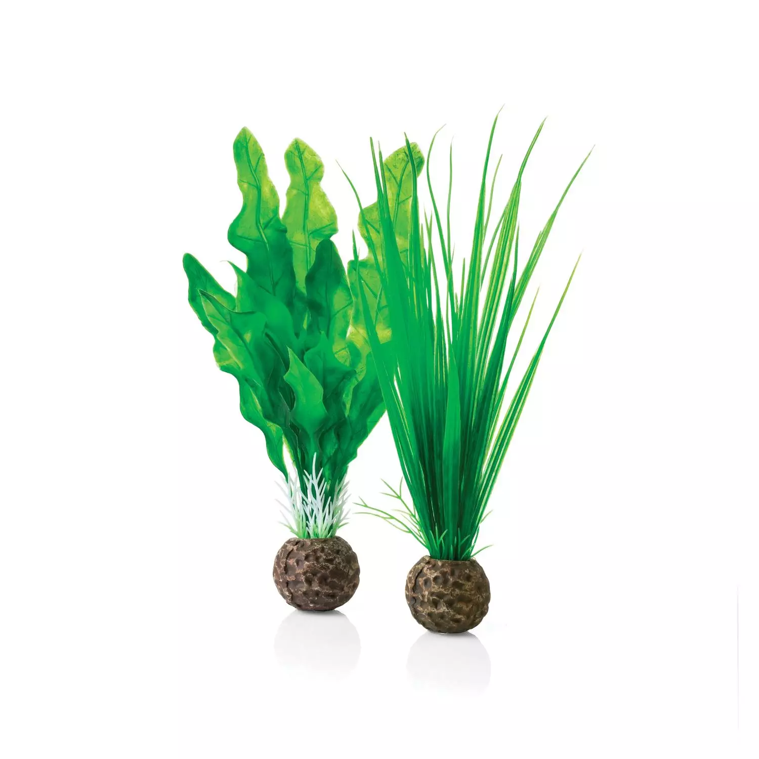biOrb Easy plant set S green