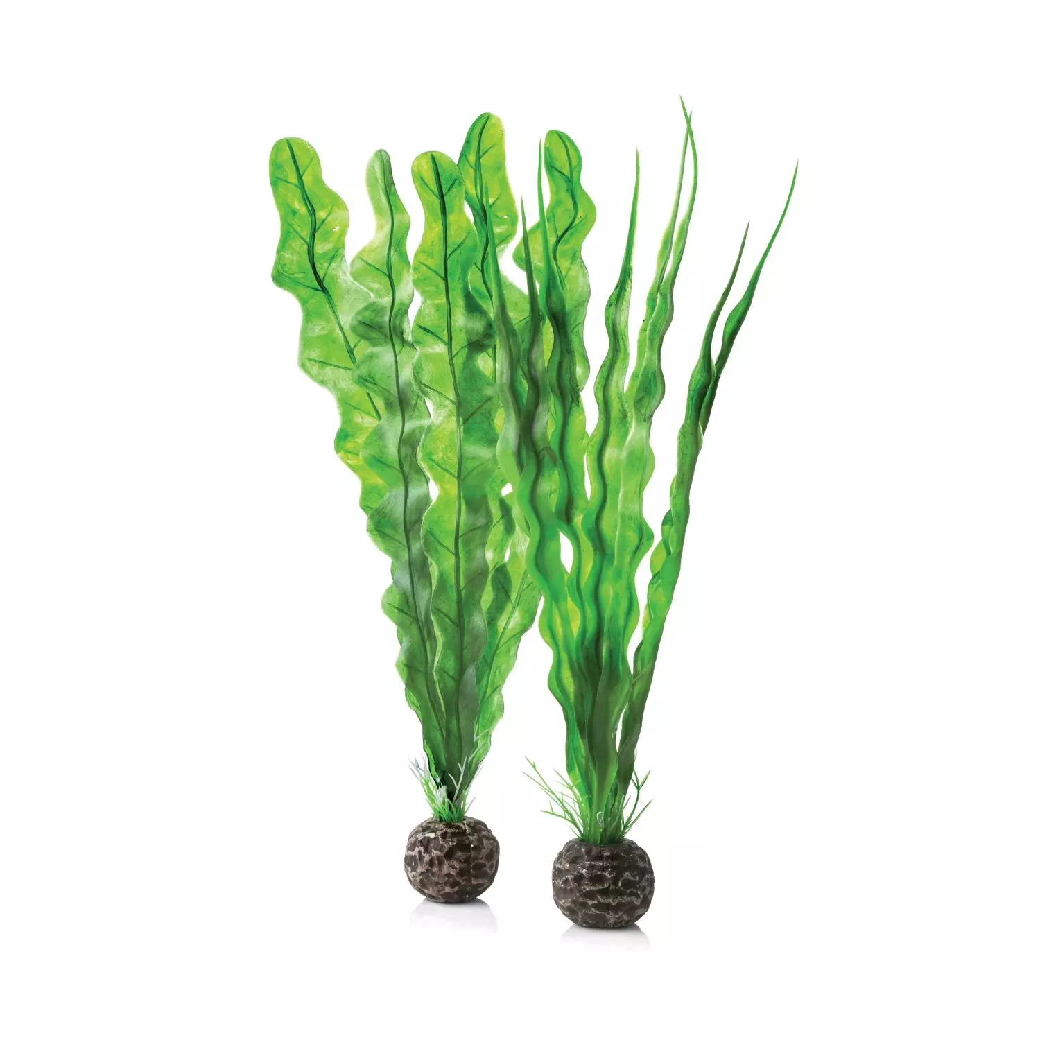 biOrb Easy plant set M green