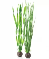 biOrb Easy plant set L green