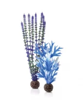 biOrb Plant set M blue & purple