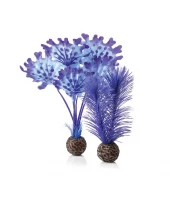 biOrb Kelp set S purple