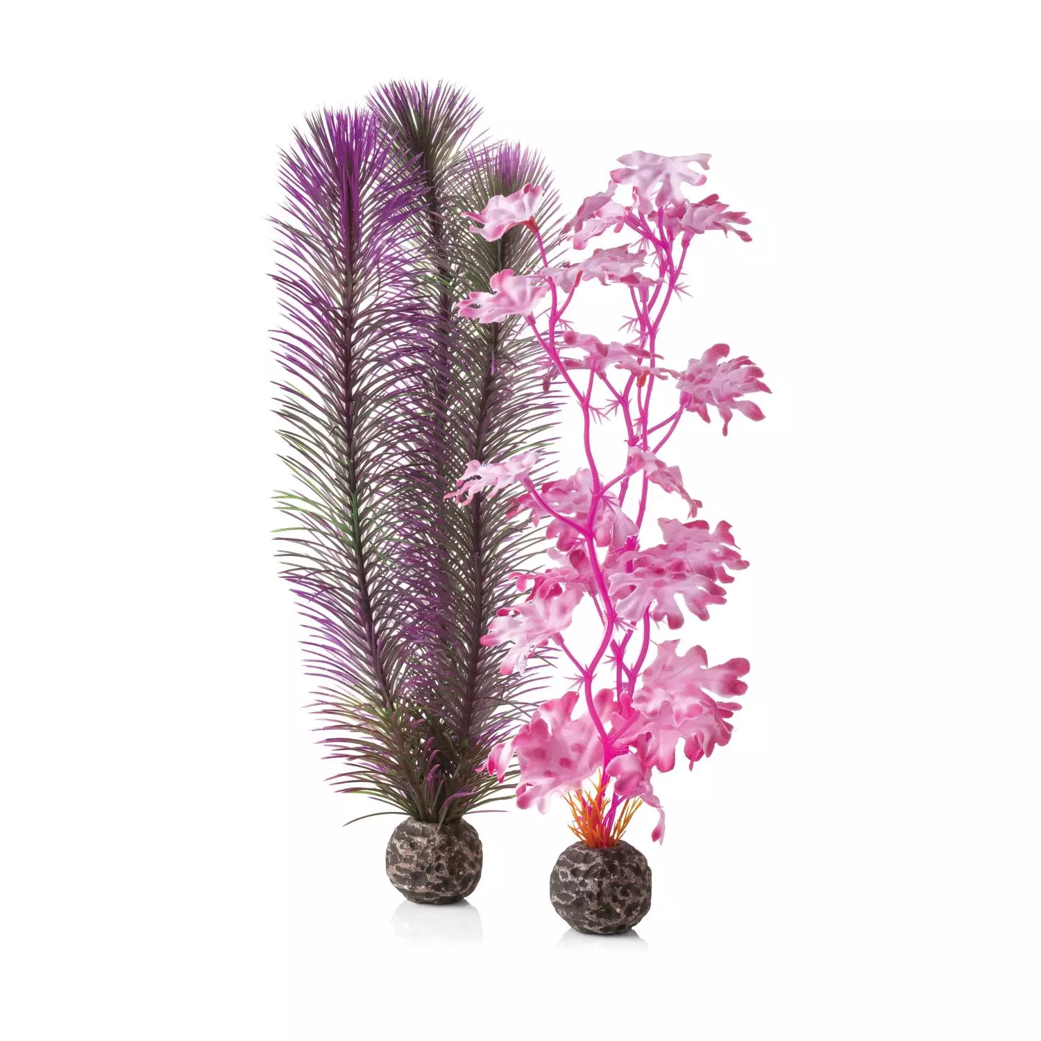 biOrb Kelp set M pink