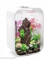 gallery-849-for-822728006016