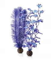 biOrb Kelp set M purple