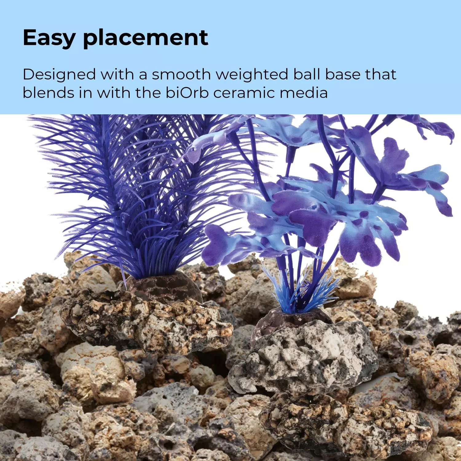 gallery-850-for-822728005996