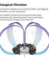 gallery-851-for-822728002513