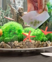 gallery-853-for-822728000236