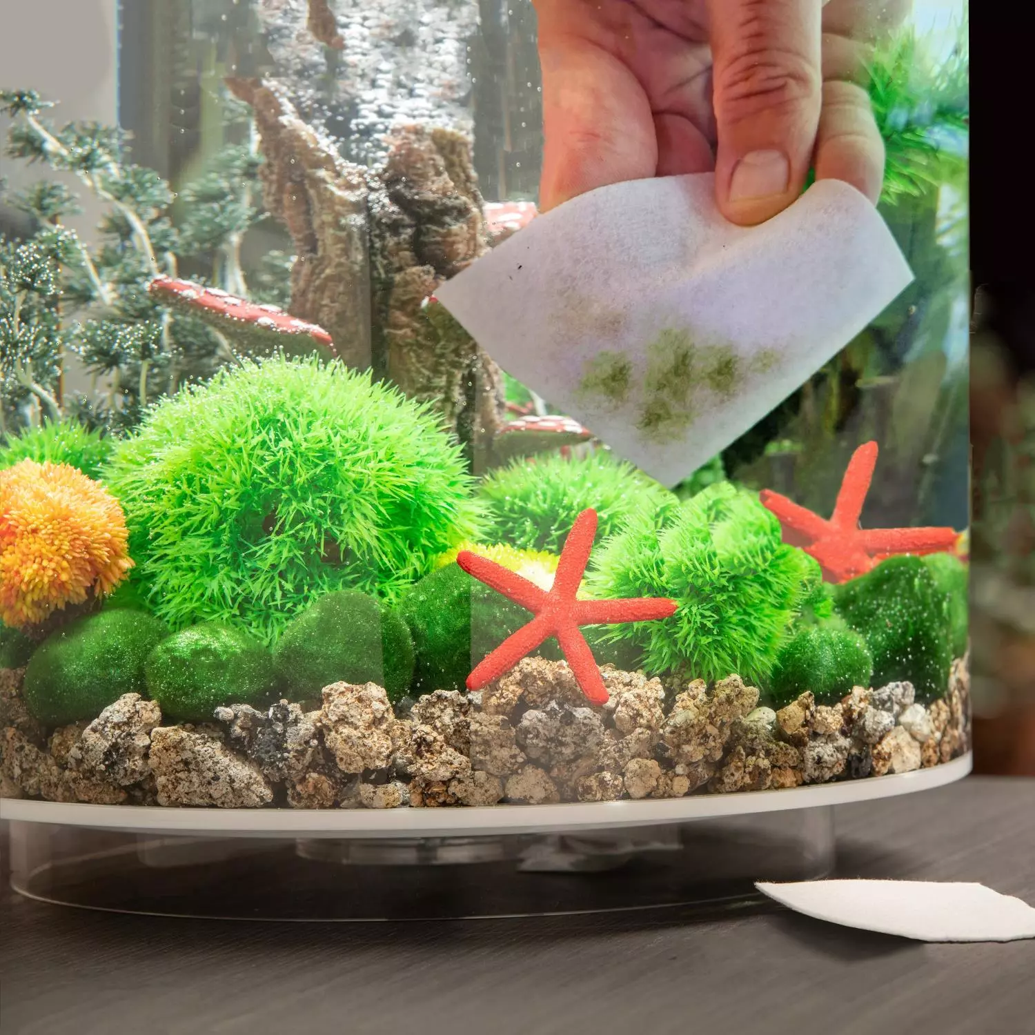 gallery-853-for-822728000236