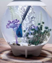 gallery-855-for-822728552490