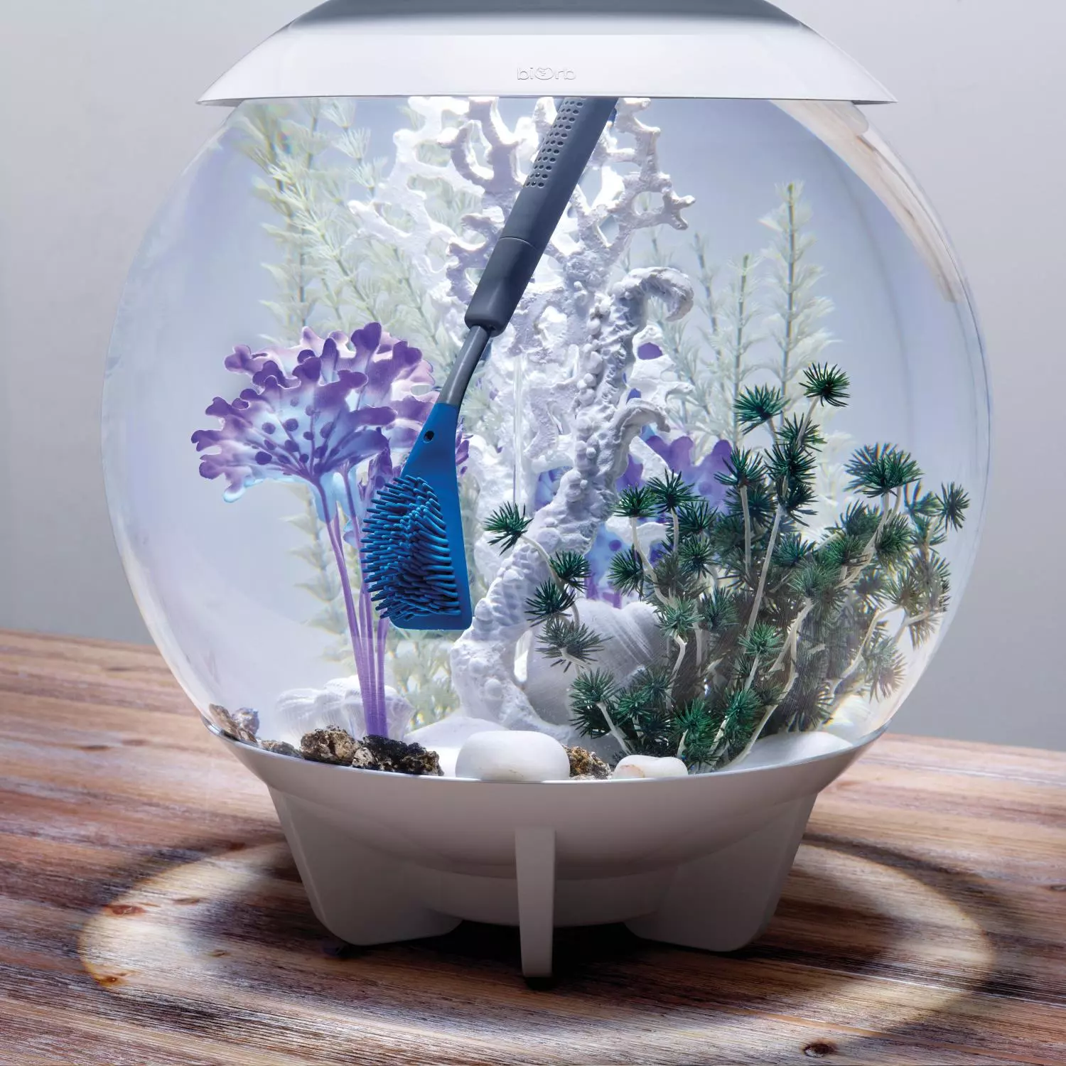 gallery-855-for-822728552490