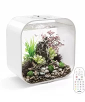 biOrb LIFE 30 MCR white