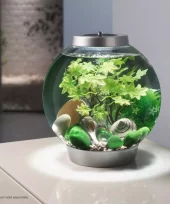 gallery-875-for-822728550267