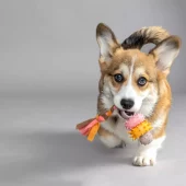 gallery-877-for-5400585293630