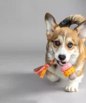 gallery-877-for-5400585293630