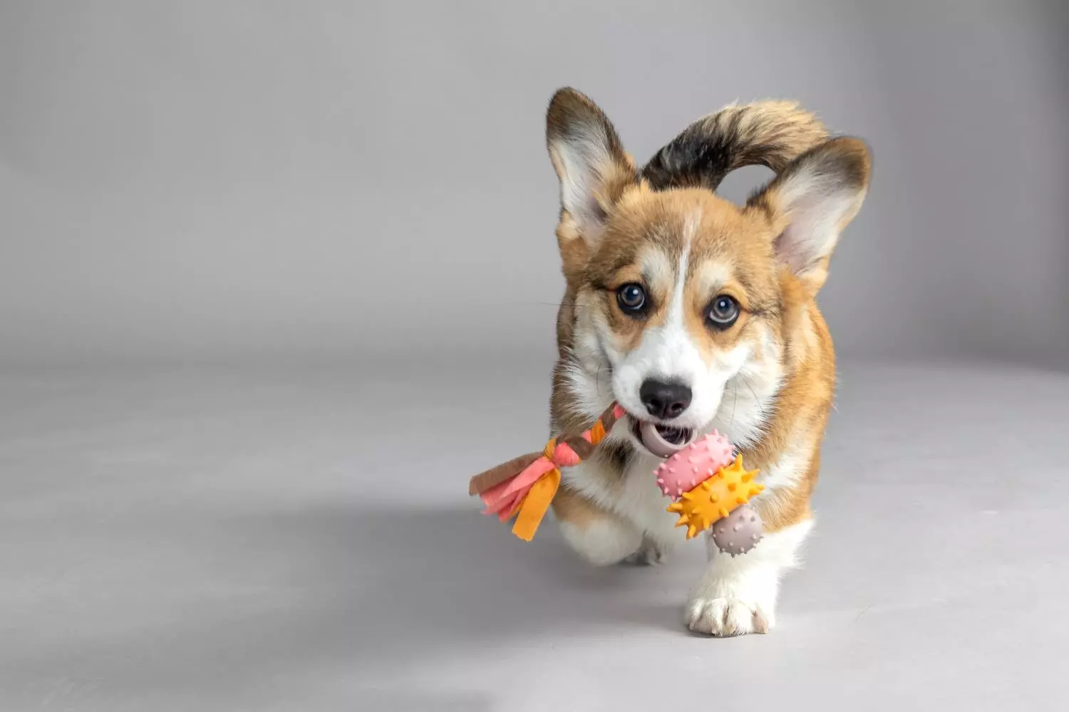 gallery-877-for-5400585293630