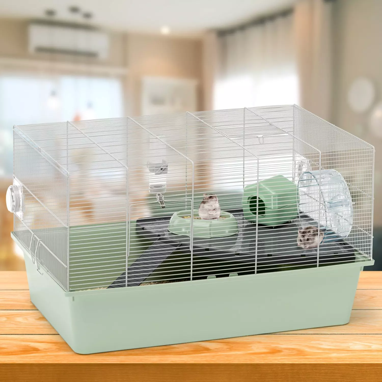 gallery-895-for-8010690210889