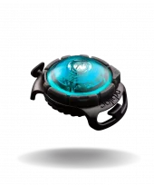 Orbiloc Dog Dual Turkis