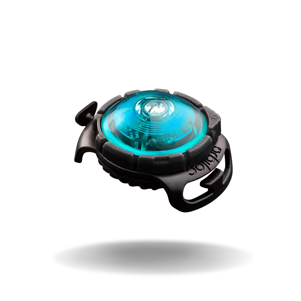 Orbiloc Dog Dual Turkis