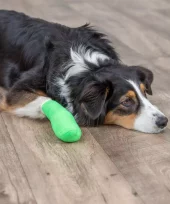 gallery-915-for-4047974194522