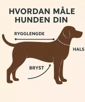 gallery-925-for-5056247120167