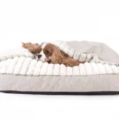 Hundeseng hettemadrass BLISS beige (037), 55 x 40 x 6h cm. Empets