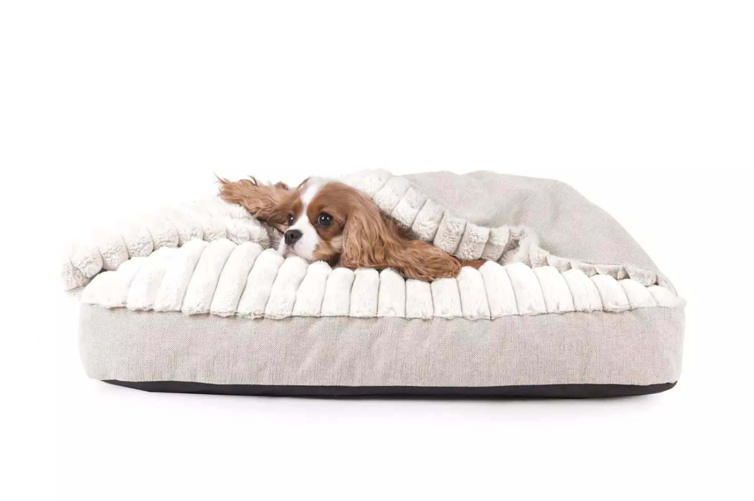 Hundeseng hettemadrass BLISS beige (037), 55 x 40 x 6h cm. Empets